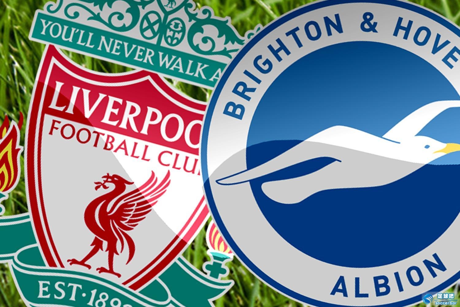 开云体育网址-关于今晨布莱顿调整名单以备全明星赛，完成体检环节打磨，信心回归，医务组通报恢复的信息-开云体育网址